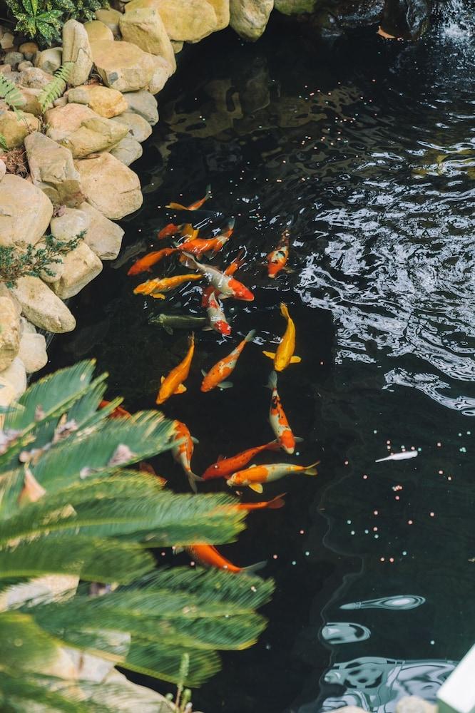 3 Tang May Home & Coffee