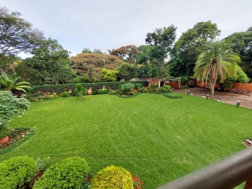 Modern House With Pool in Mount Pleasant - 2063