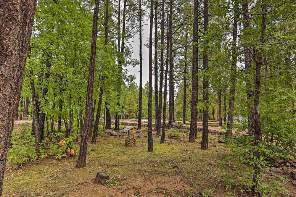 Wooded Yard, Gas Grill: Lush Pinetop Retreat