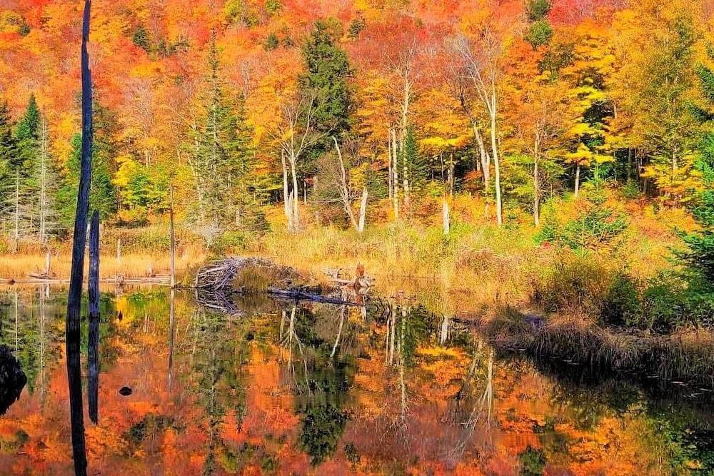 Lake Champlain Home w/ Decks, Kayaks & Fire Pit!