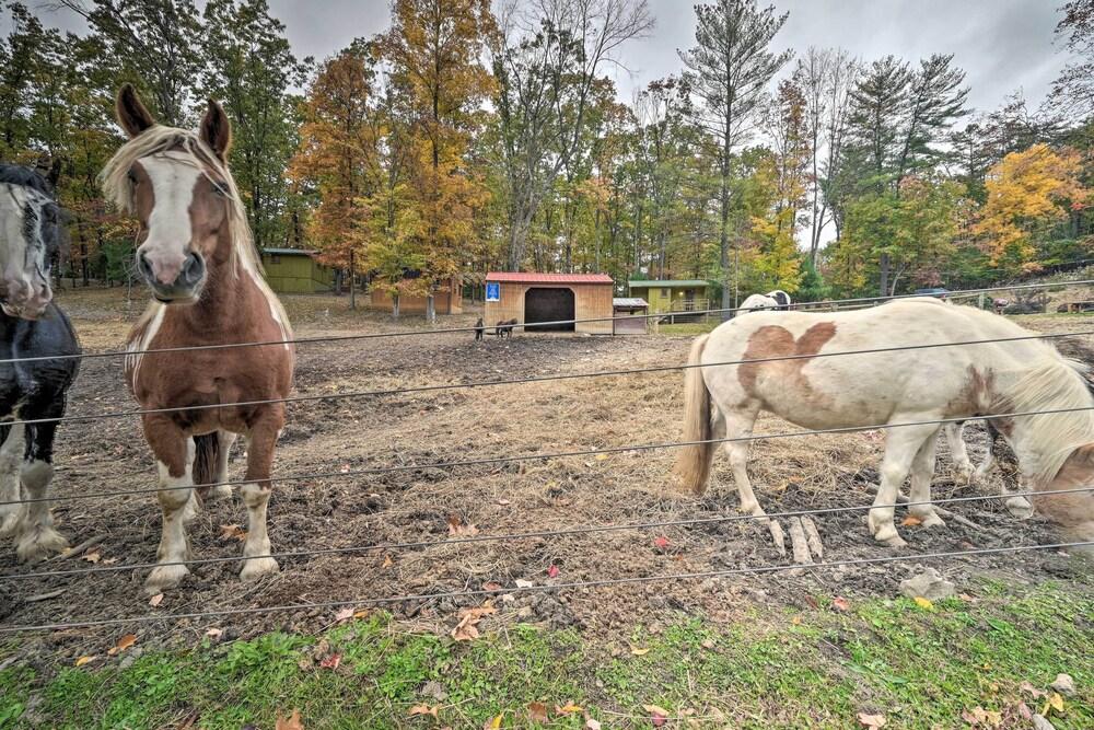 'bill Pickett' Apt on 50-acre Ranch - 1 Mi to Lake