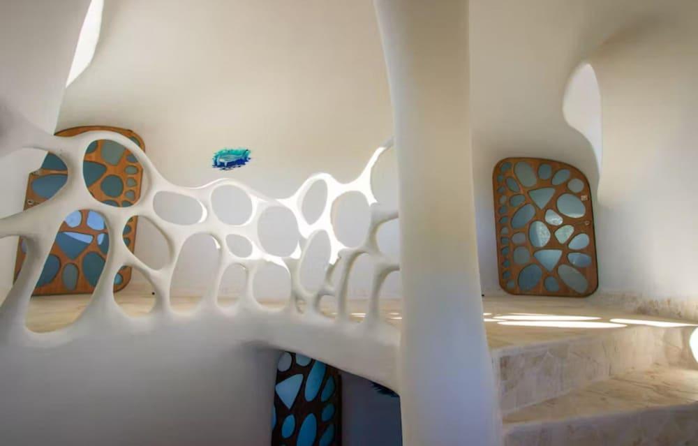 Turtle Studio in Placencia Village