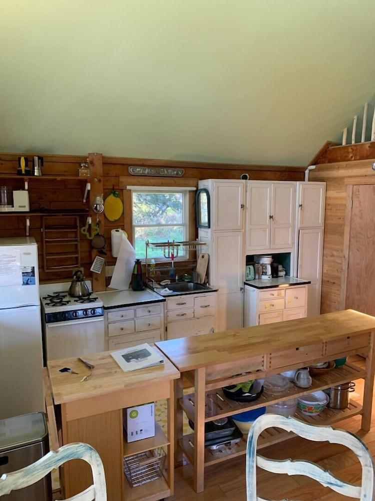 Dear Cove - Kayaking!