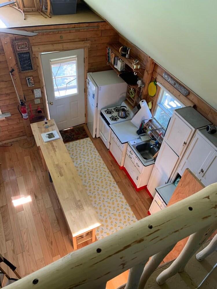 Dear Cove - Kayaking!