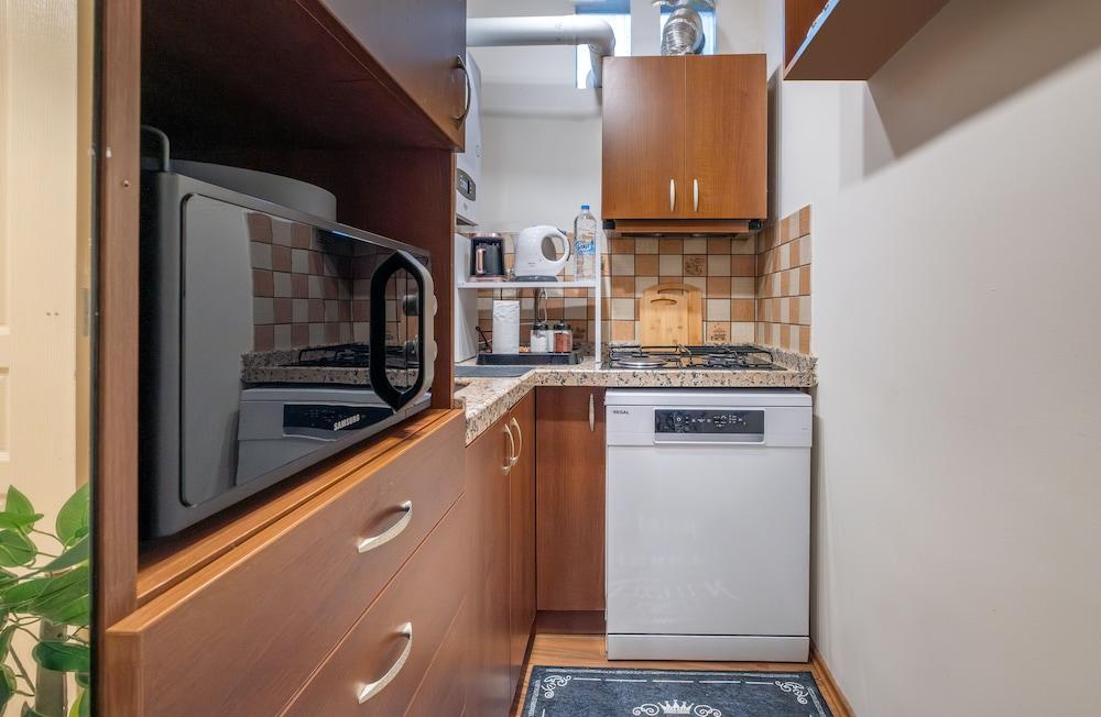 Gorgeous Central 1BR Apt near Galataport