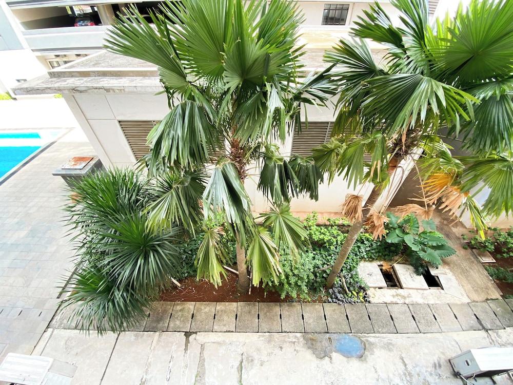 Cozy Stay Studio (No Kitchen) Elvis Tower Apartment