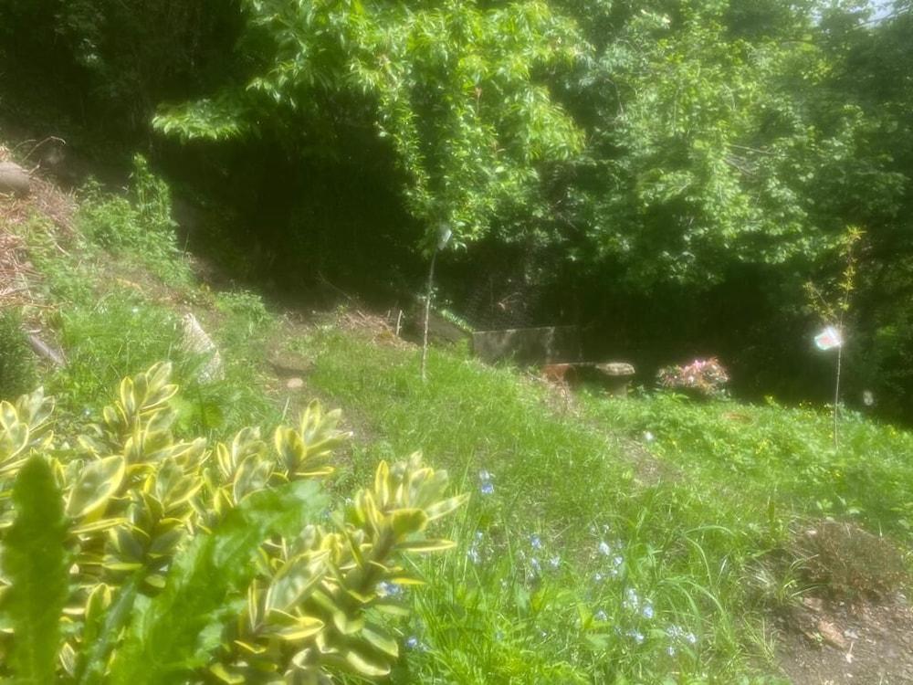 Il Castello di Venere