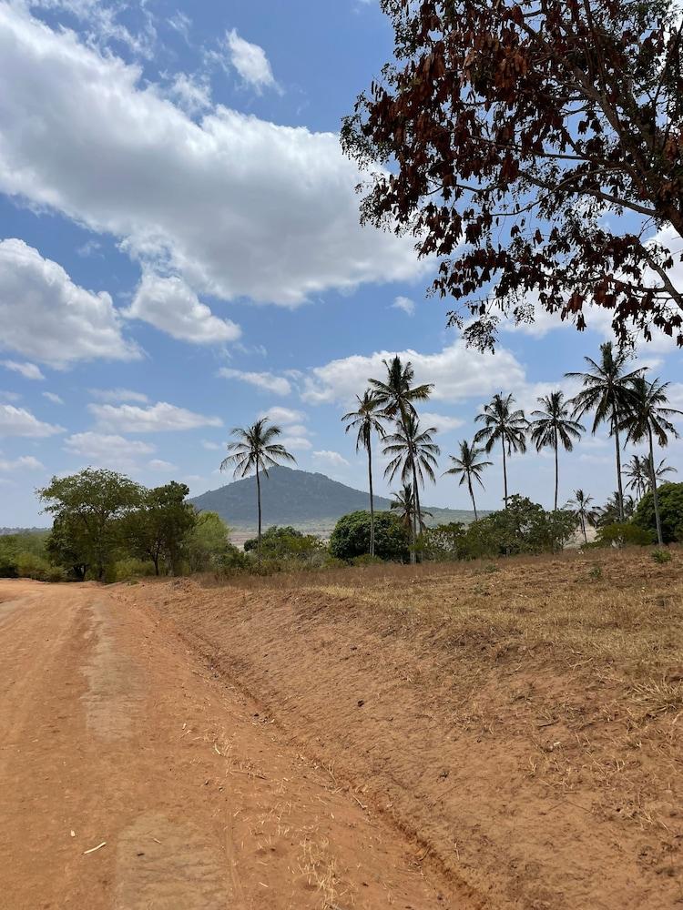 Room in Guest Room - Dolphin Suite 40 m2 in Villa 560 m2, Indian Ocean View