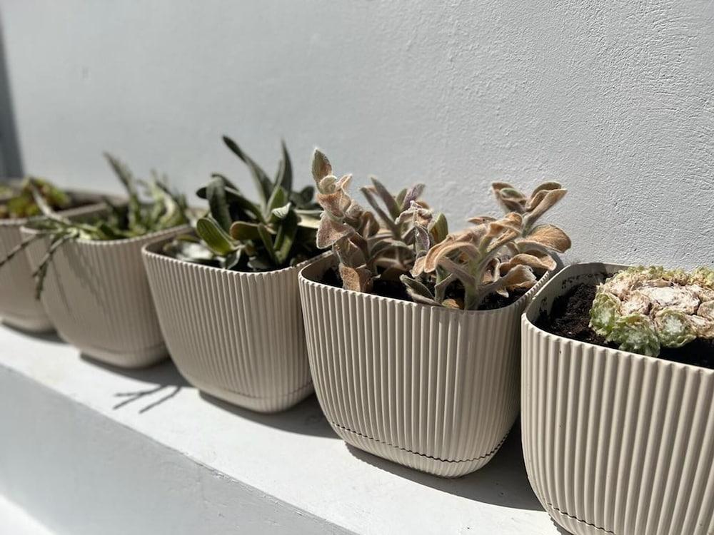 Impeccable Newly Renovated Studio in Larnaca