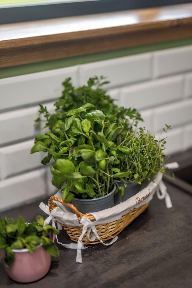 Auchlishie Apartment