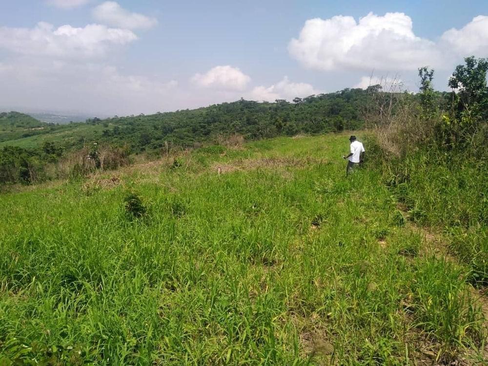 no Longer Available Please