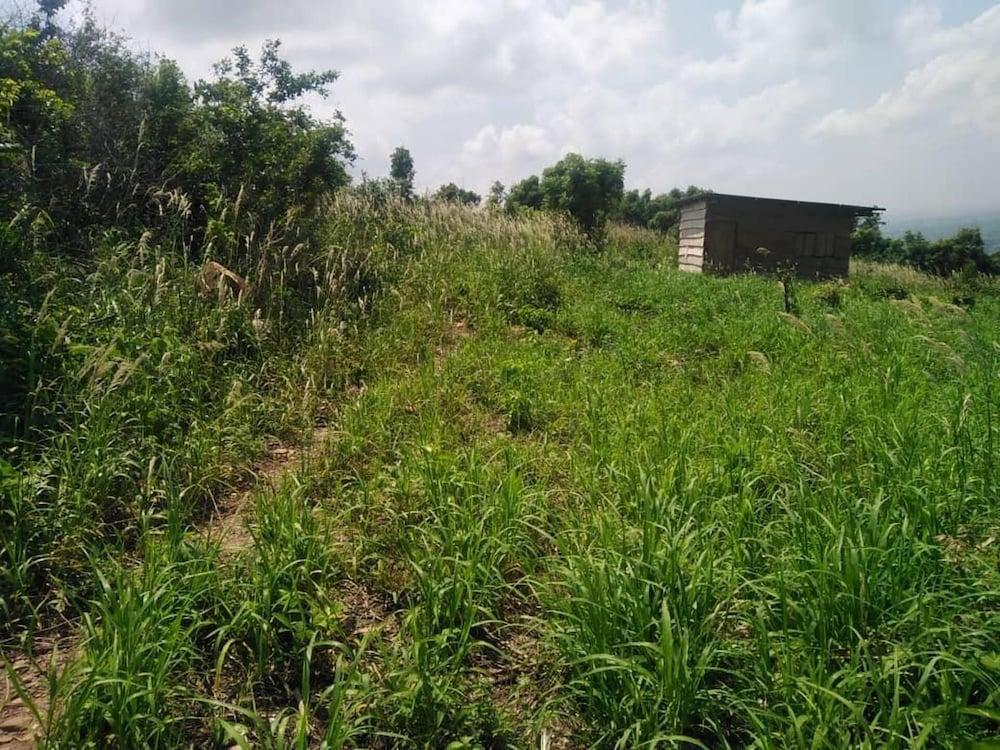 no Longer Available Please