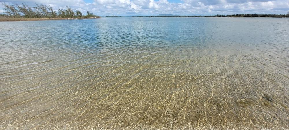 Golden entre o mar e a lagoa