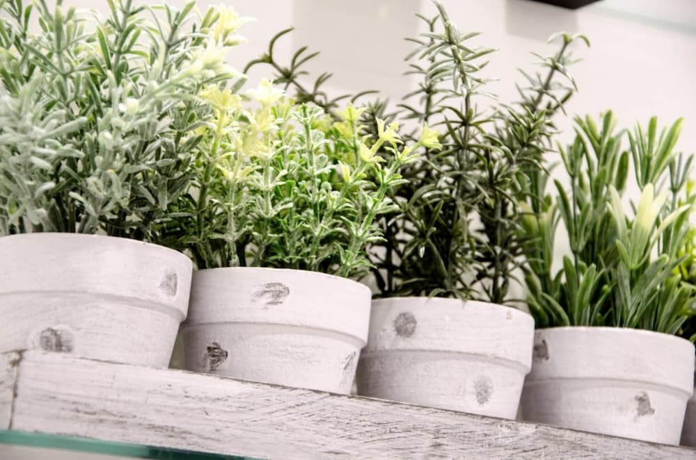 Knightstone Apartment