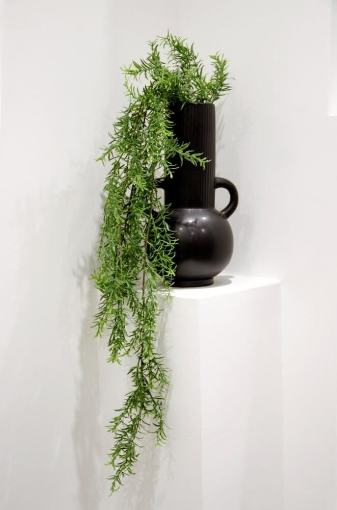 Knightstone Apartment