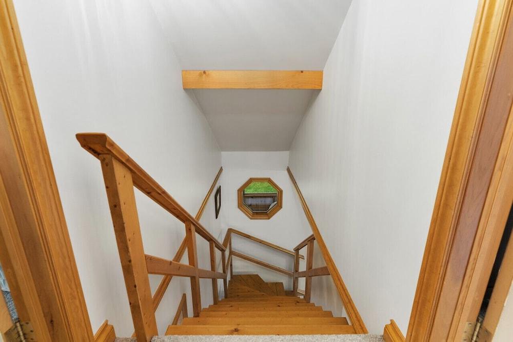 Bear Essentials Lakefront Hideaway