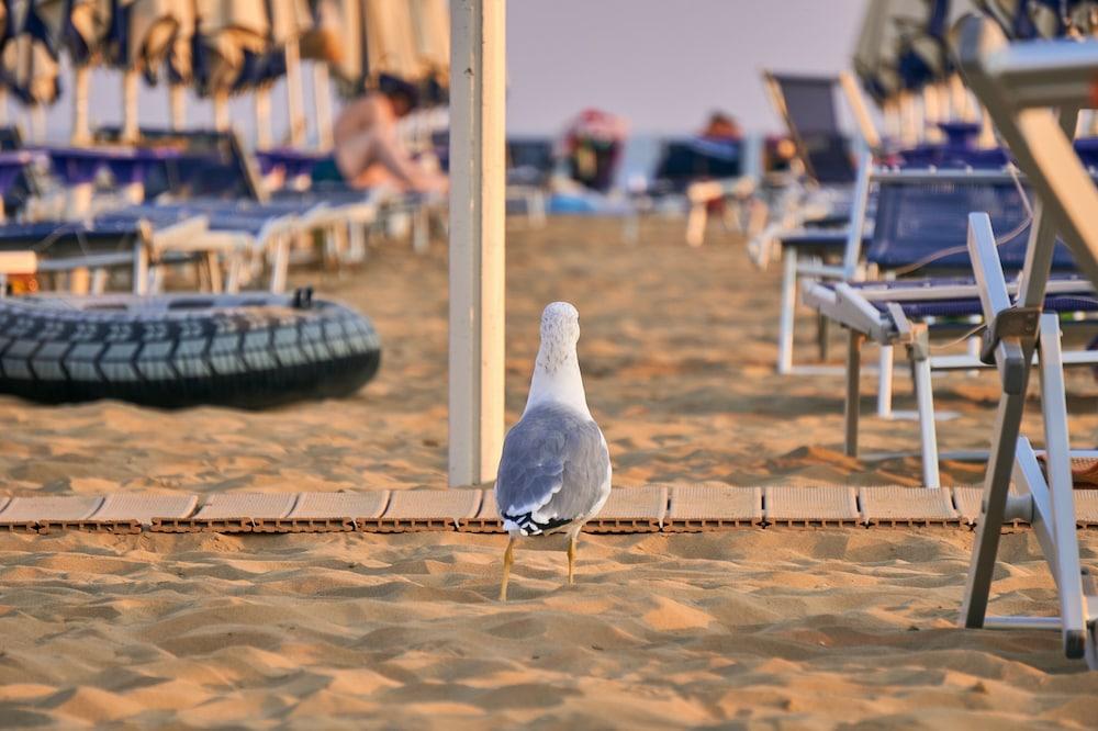 Renewed Three-room Apartment Close to the Beach