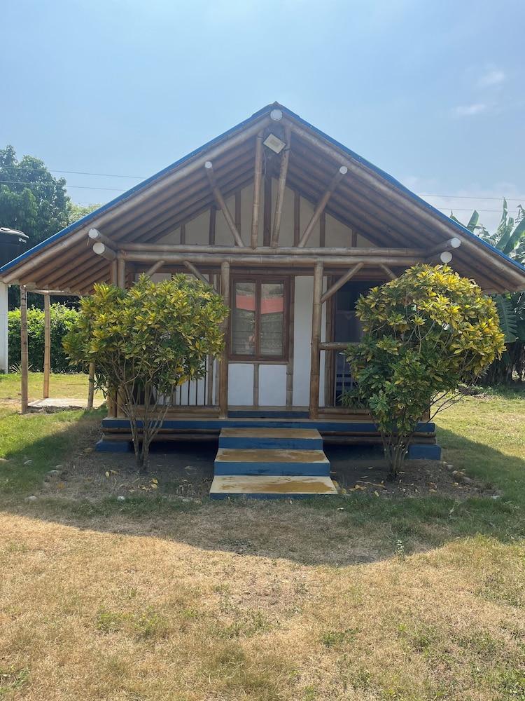 Tree of Life - Hostel