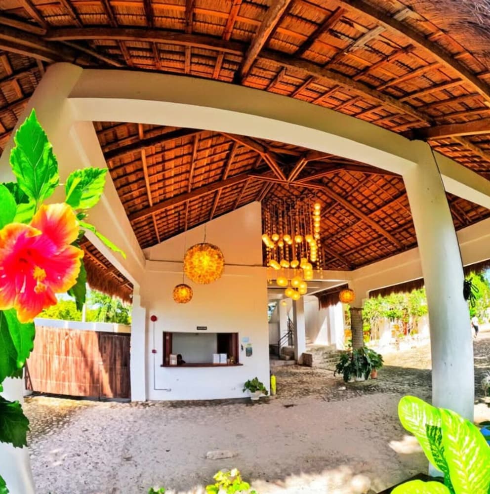 Divers Lodge Plumeria