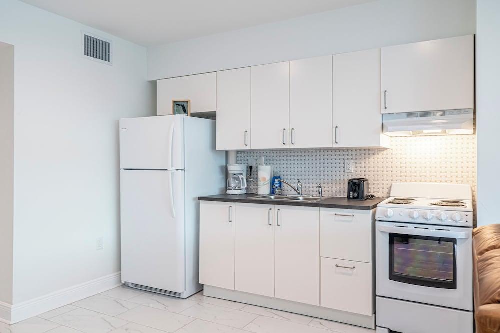 Purple Pelican by Opus (Suite 3)