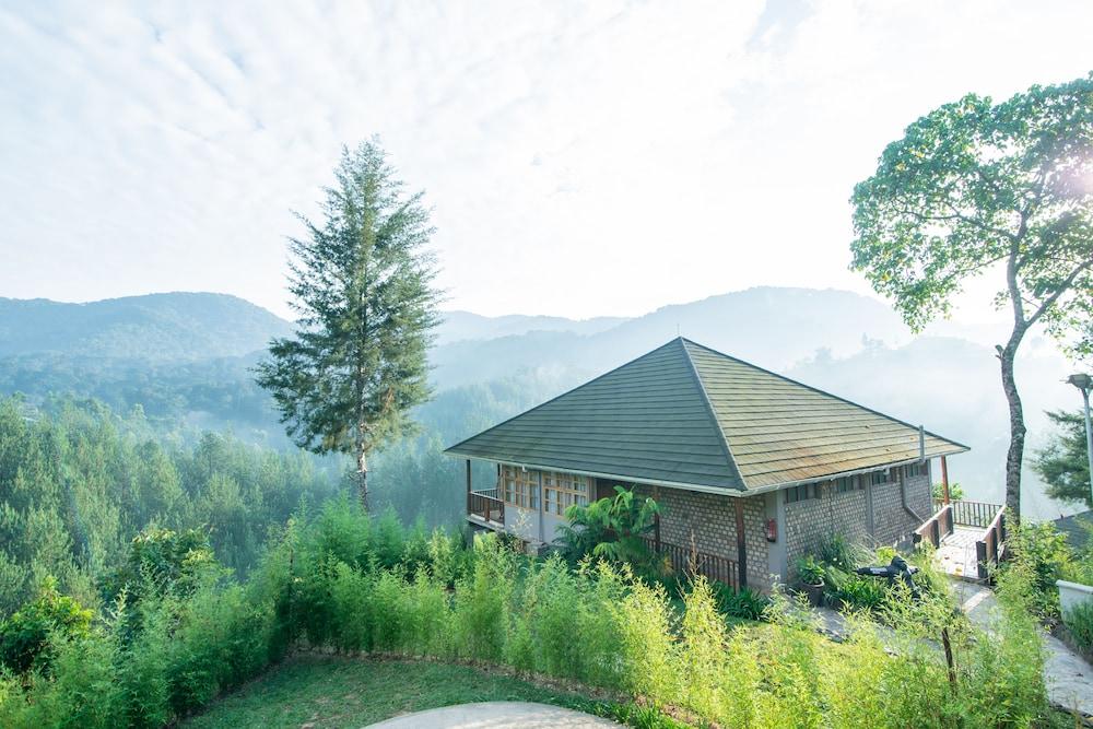 Gorilla Leisure Lodge