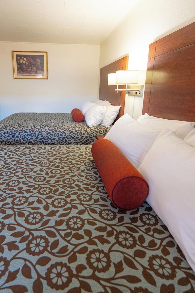 Hot Springs Hills Inn