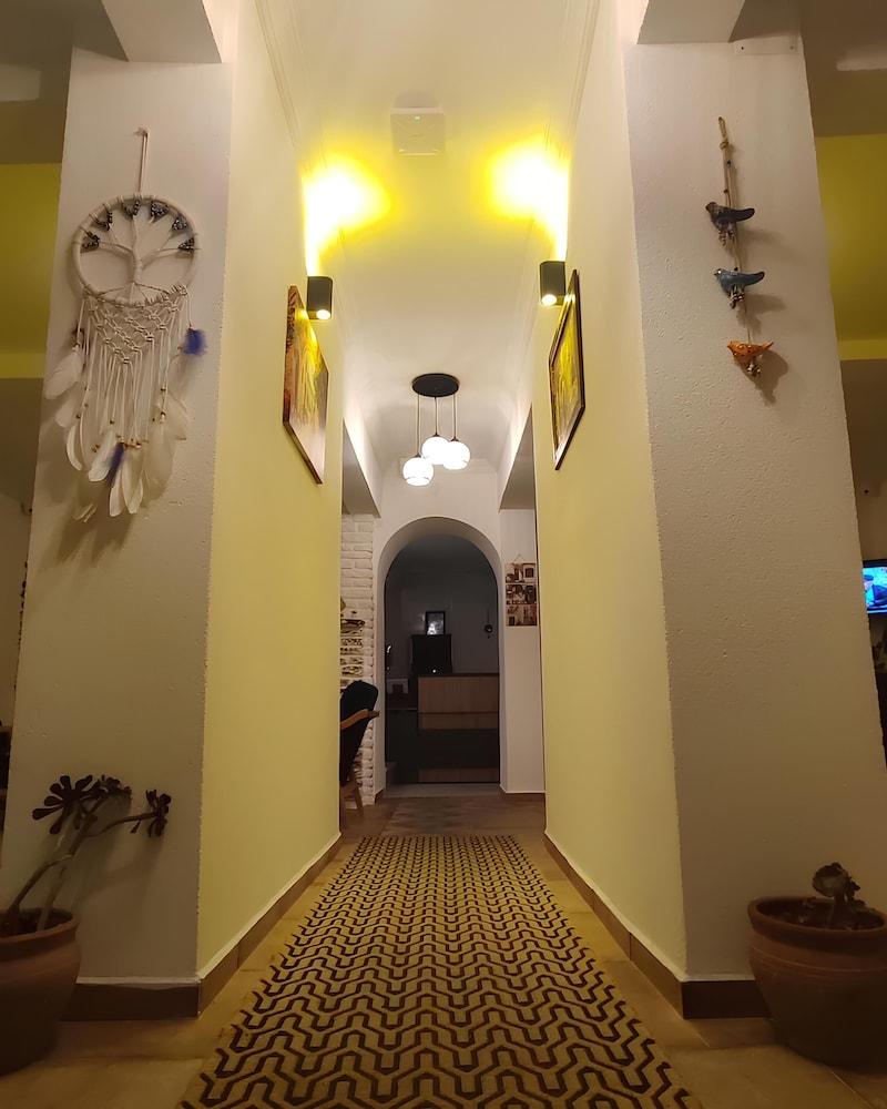 The Professor's Hotel