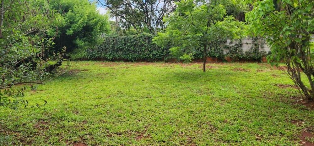 Lovely 3 bed in Mount Pleasant - 2153