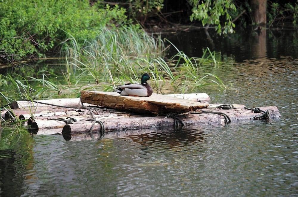 Glamping Jedlova Sleeps 6 With Deck