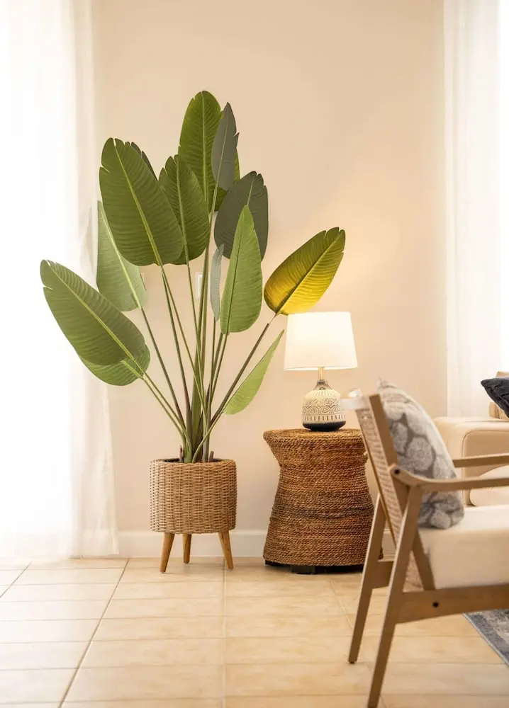 Discover Luxury Beach in Reunion