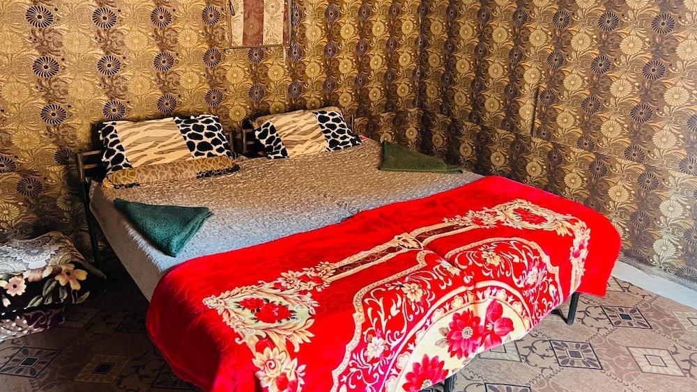 Wadi Rum Hikes & Camp